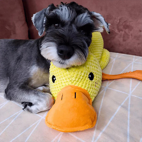 50% OFF 🔥 Calming Duck Toy 2025