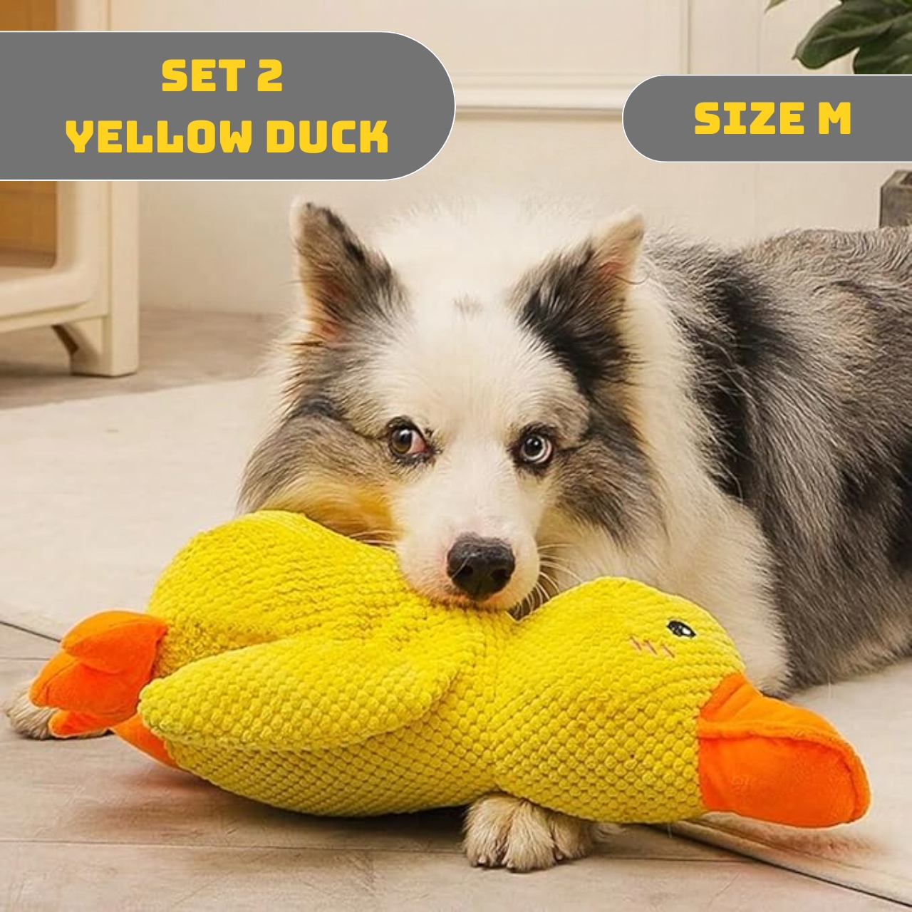 50% OFF 🔥 Calming Duck Toy 2025