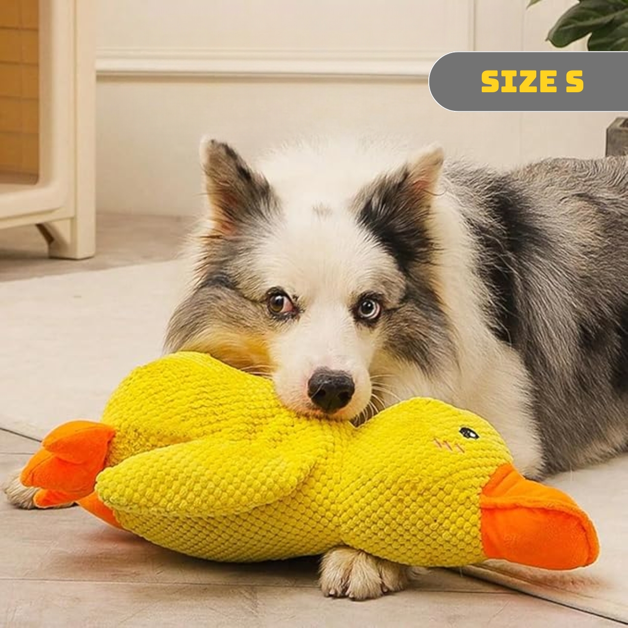 50% OFF 🔥 Calming Duck Toy 2025