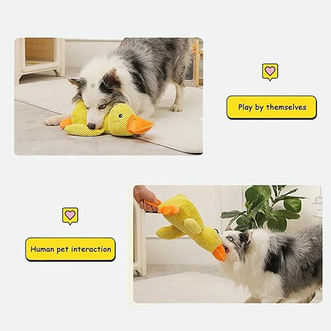 50% OFF 🔥 Calming Duck Toy 2025