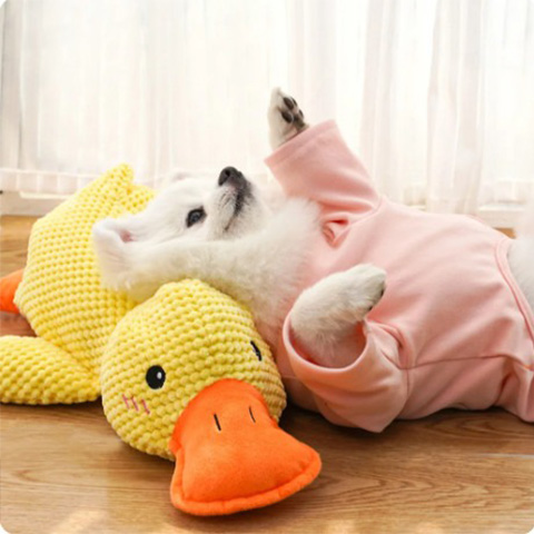 50% OFF 🔥 Calming Duck Toy 2025